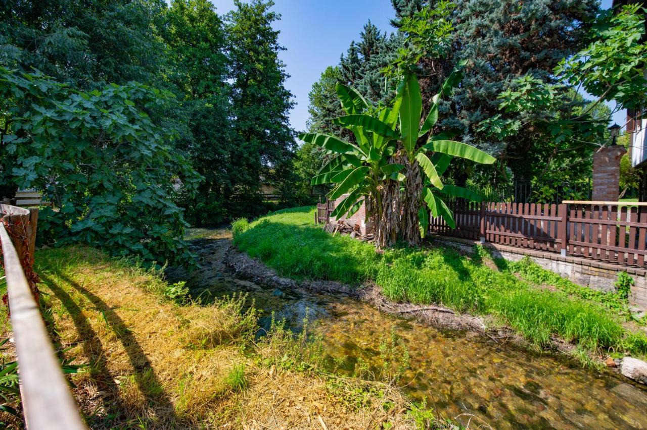 Villa Vitti'S - Verona Est San Martino Buon Albergo Ngoại thất bức ảnh